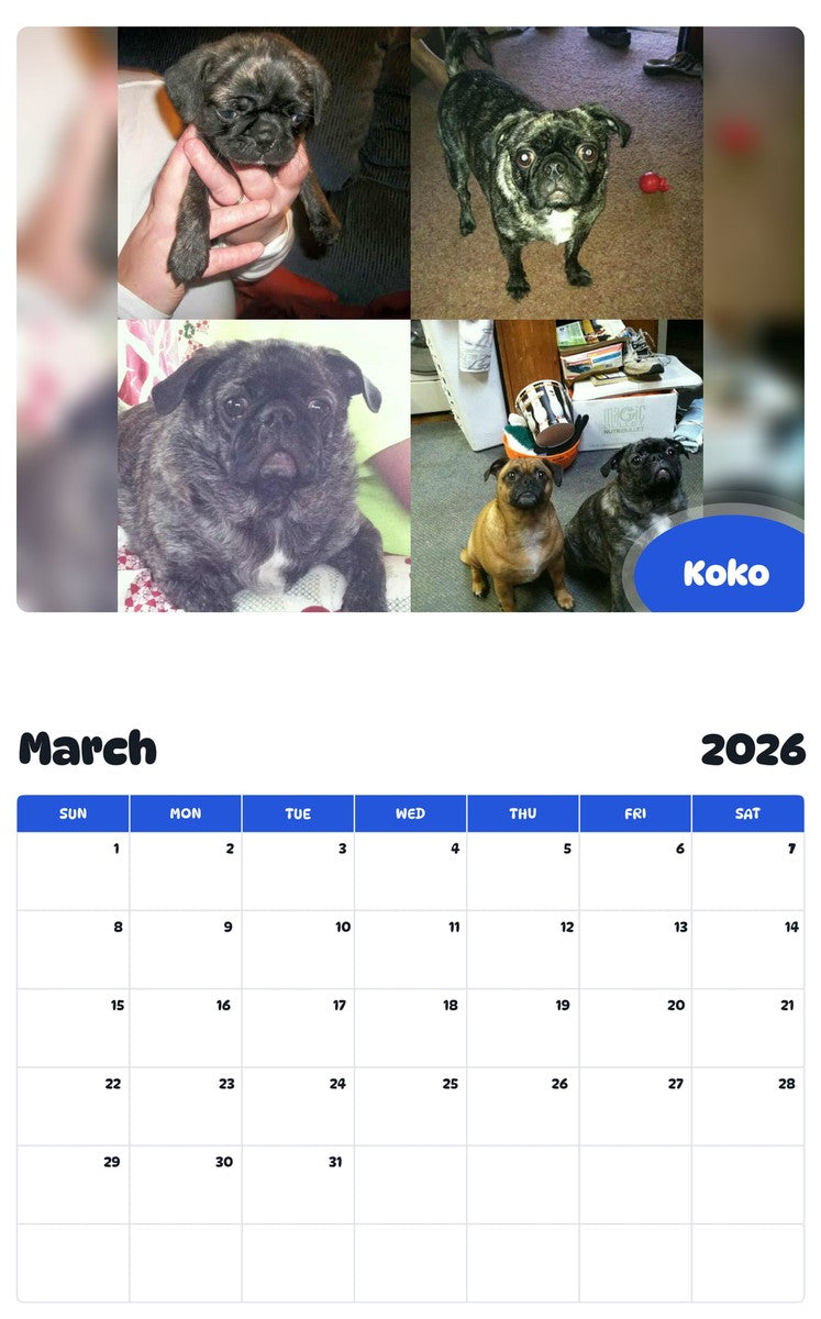 November 2025 - October 2026 Koko - Pawidols Pet Calendar