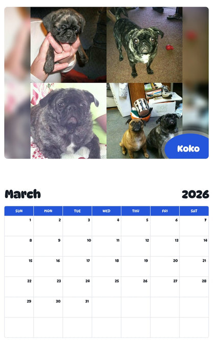 November 2025 - October 2026 Koko - Pawidols Pet Calendar
