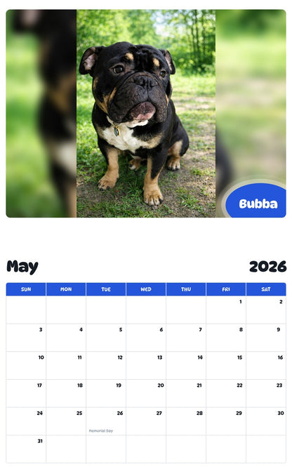 2026 - 2027 Bubba - Pawidols Pet Calendar