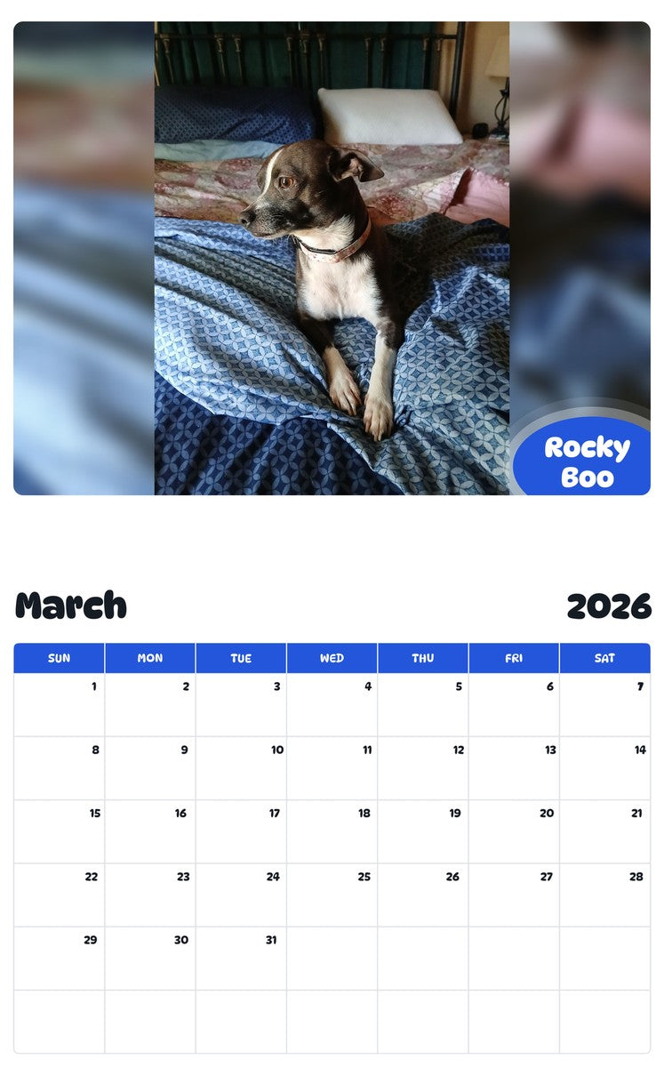 November 2025 - October 2026 Rocky Boo - Pawidols Pet Calendar