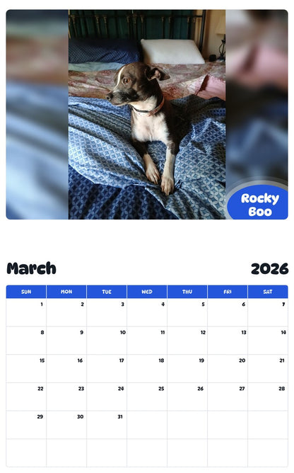 November 2025 - October 2026 Rocky Boo - Pawidols Pet Calendar