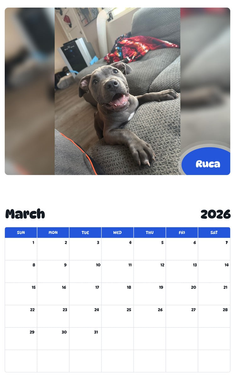 November 2025 - October 2026 Ruca - Pawidols Pet Calendar
