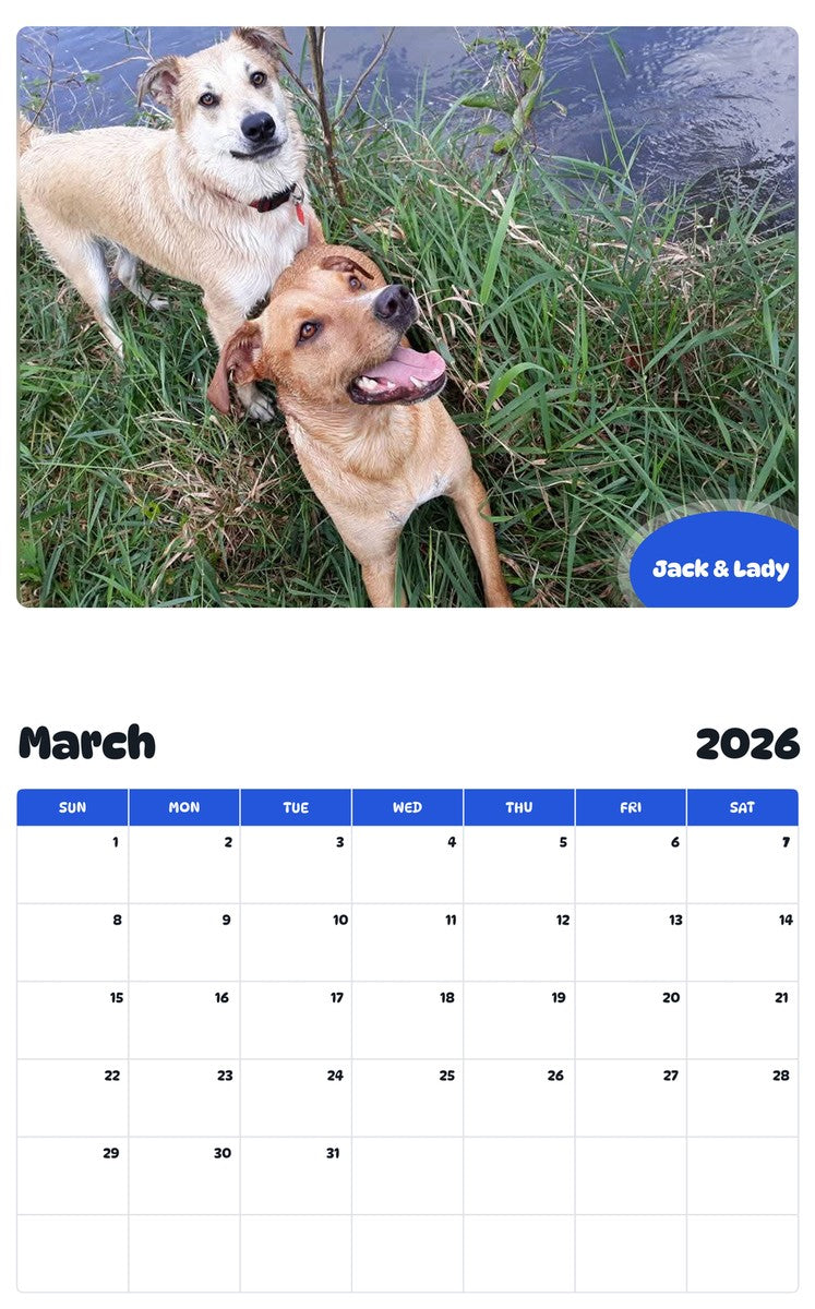 November 2025 - October 2026 Jack & Lady - Pawidols Pet Calendar