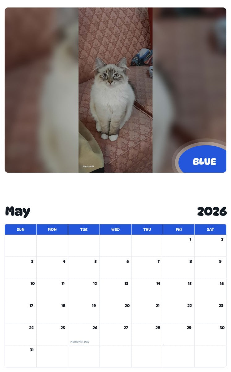 2026 - 2027 BLUE - Pawidols Pet Calendar