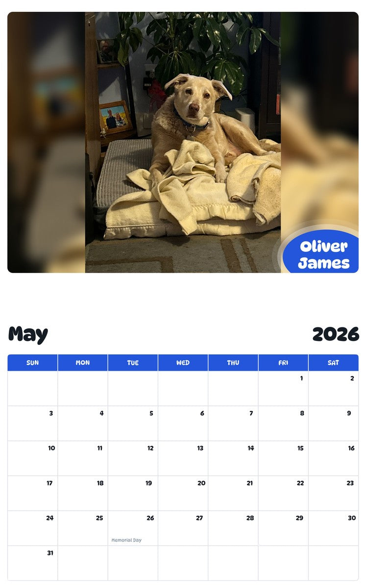2026 - 2027 Oliver James - Pawidols Pet Calendar