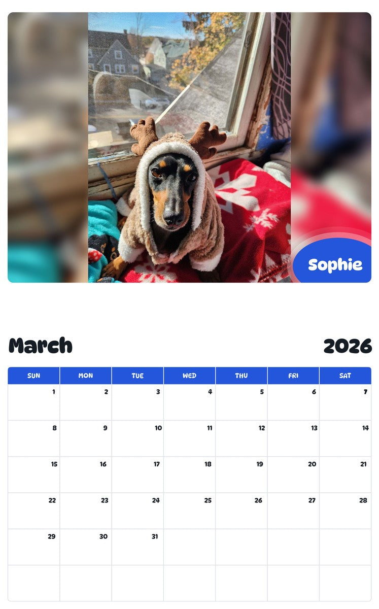 November 2025 - October 2026 Sophie - Pawidols Pet Calendar