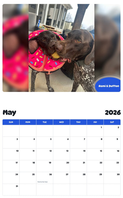 2026 - 2027 Remi & Dutton - Pawidols Pet Calendar