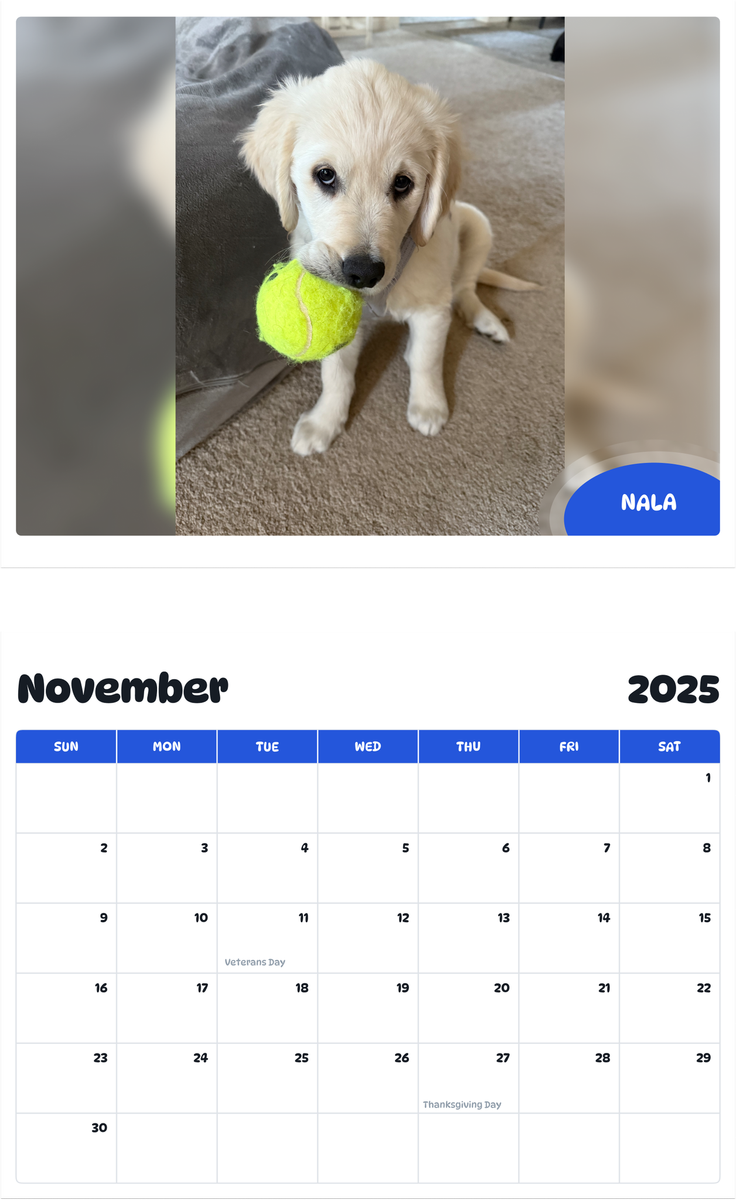 July 2025 - June 2026 Nala - Pawidols Pet Calendar