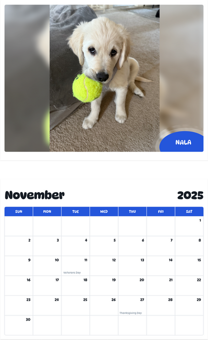 July 2025 - June 2026 Nala - Pawidols Pet Calendar