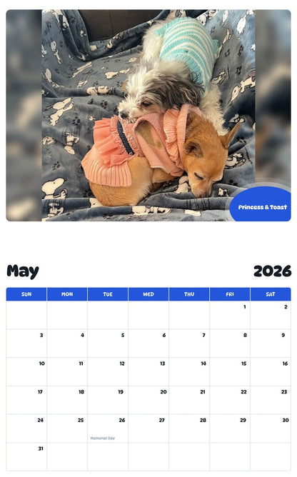 2026 - 2027 Princess & Toast - Pawidols Pet Calendar