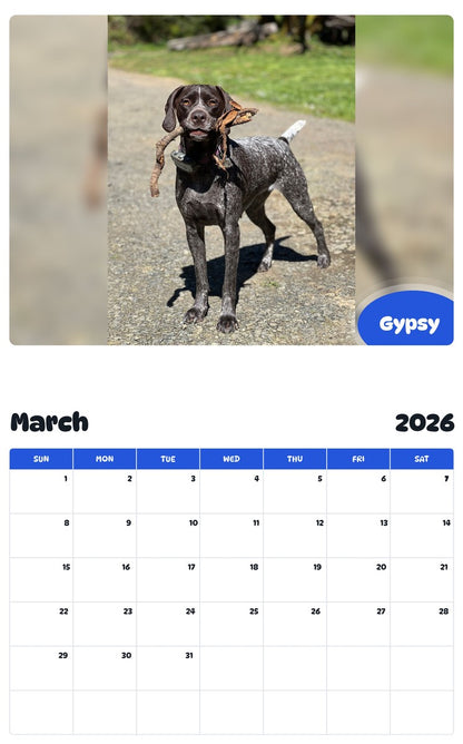 November 2025 - October 2026 Gypsy - Pawidols Pet Calendar