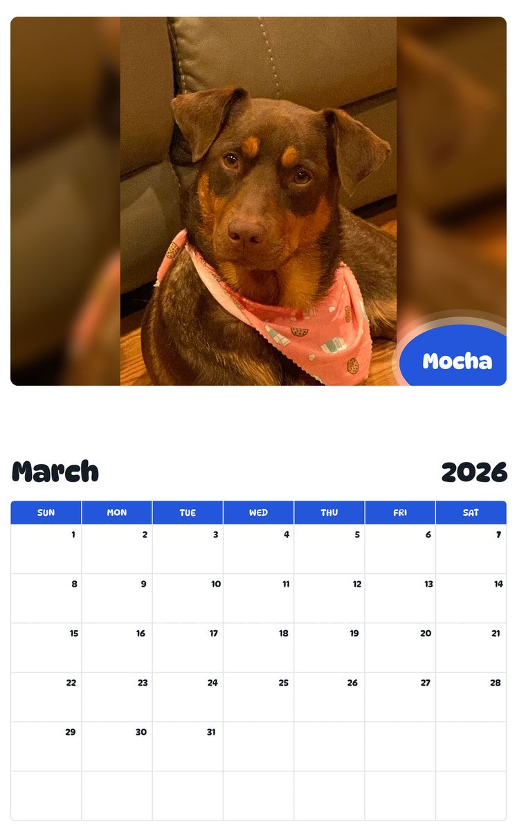 November 2025 - October 2026 Mocha - Pawidols Pet Calendar