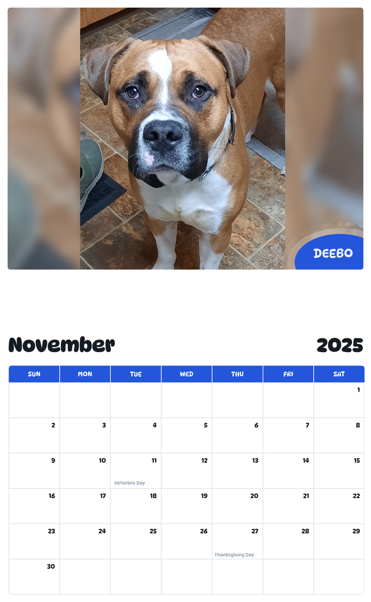 July 2025 - June 2026 Deebo - Pawidols Pet Calendar