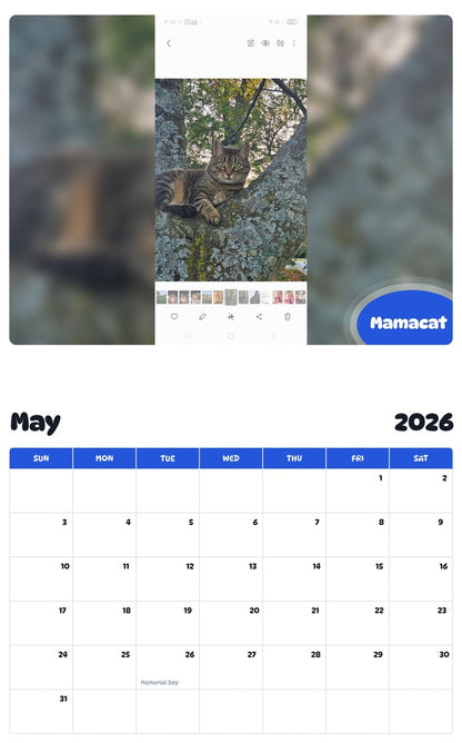 2026 - 2027 Mamacat - Pawidols Pet Calendar