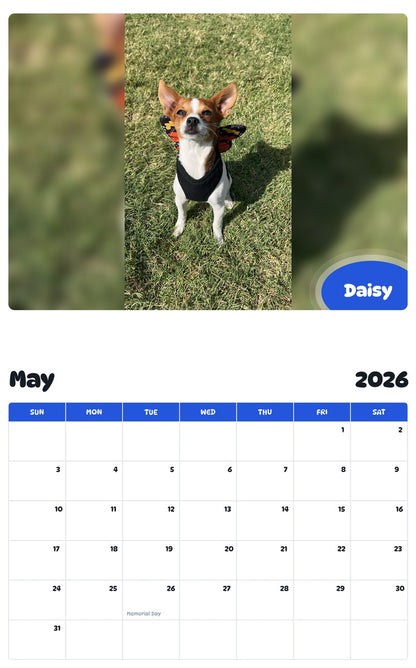 2026 - 2027 Daisy - Pawidols Pet Calendar
