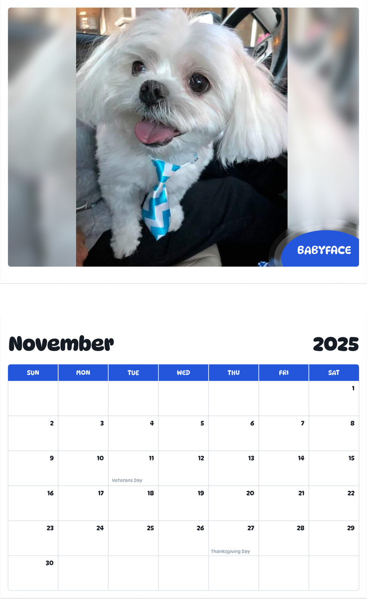 July 2025 - June 2026 BabyFace - Pawidols Pet Calendar