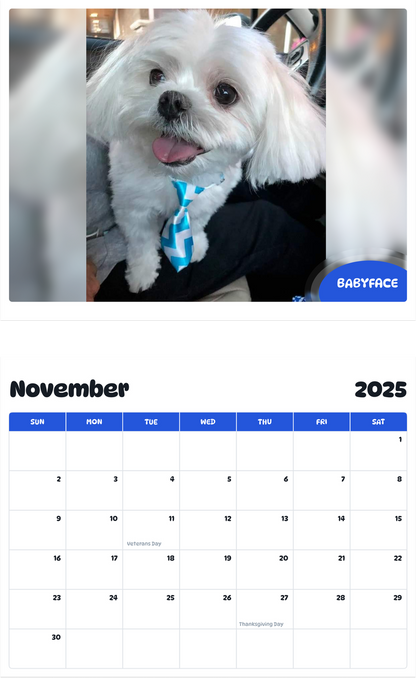 July 2025 - June 2026 BabyFace - Pawidols Pet Calendar