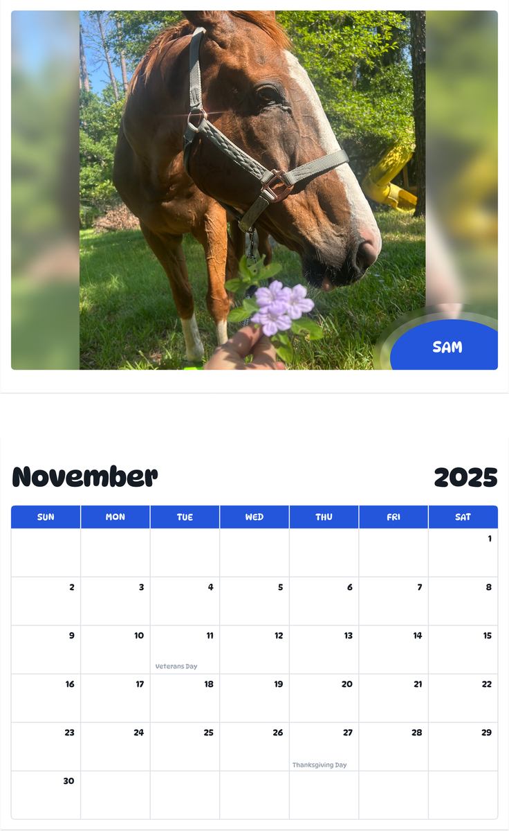 July 2025 - June 2026 Sam - Pawidols Pet Calendar