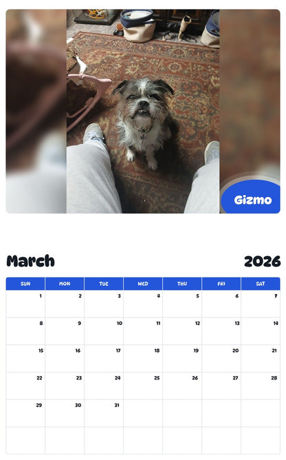November 2025 - October 2026 Gizmo - Pawidols Pet Calendar