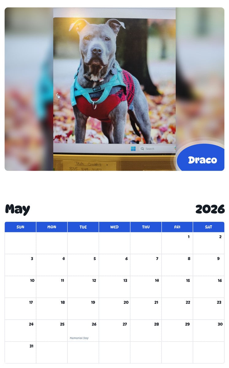 2026 - 2027 Draco - Pawidols Pet Calendar