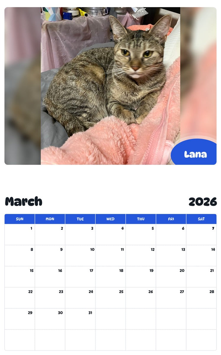 November 2025 - October 2026 Lana - Pawidols Pet Calendar