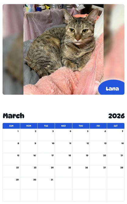 November 2025 - October 2026 Lana - Pawidols Pet Calendar
