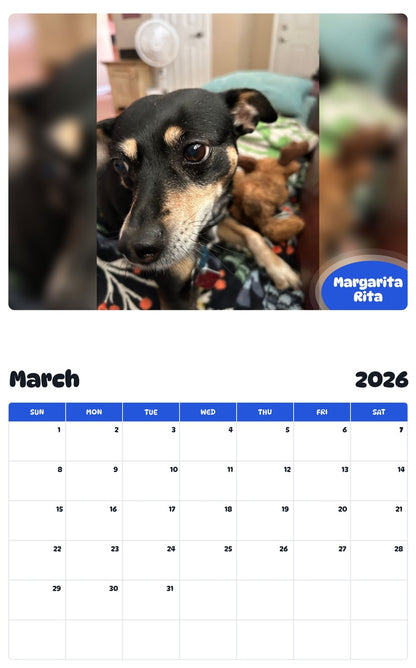 November 2025 - October 2026 Margarita Rita - Pawidols Pet Calendar