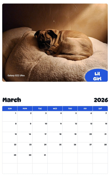 November 2025 - October 2026 Lil Girl - Pawidols Pet Calendar