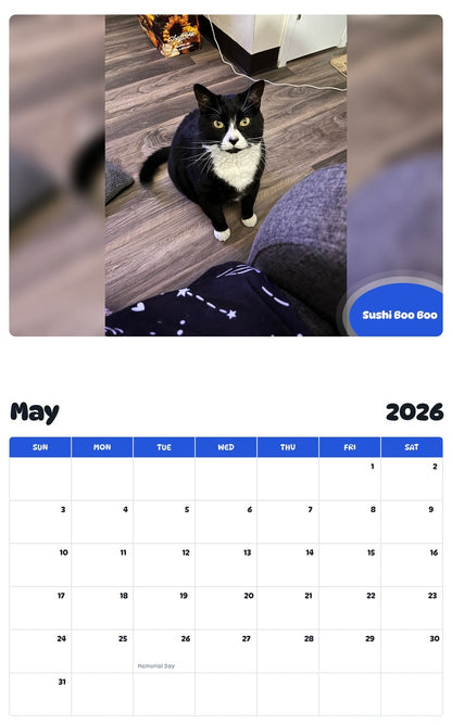2026 - 2027 Sushi Boo Boo - Pawidols Pet Calendar