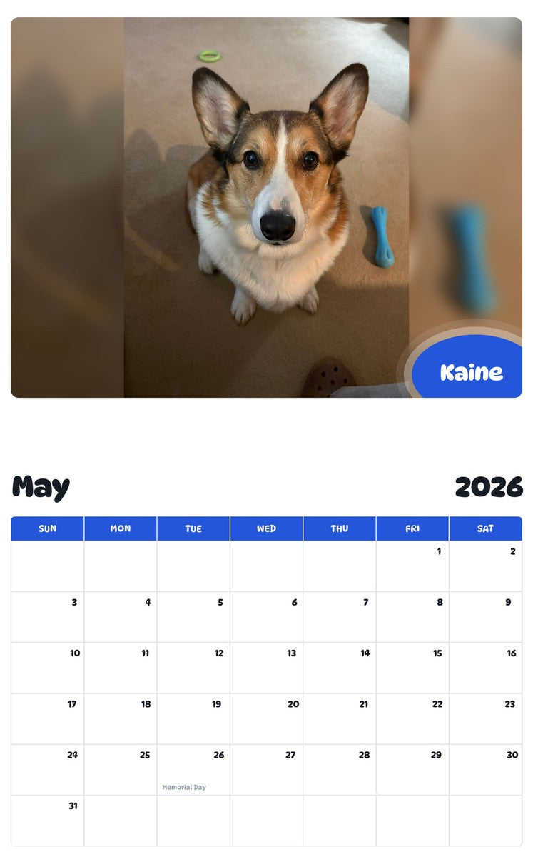 2026 - 2027 Kaine - Pawidols Pet Calendar