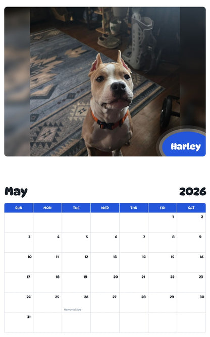 2026 - 2027 Harley - Pawidols Pet Calendar