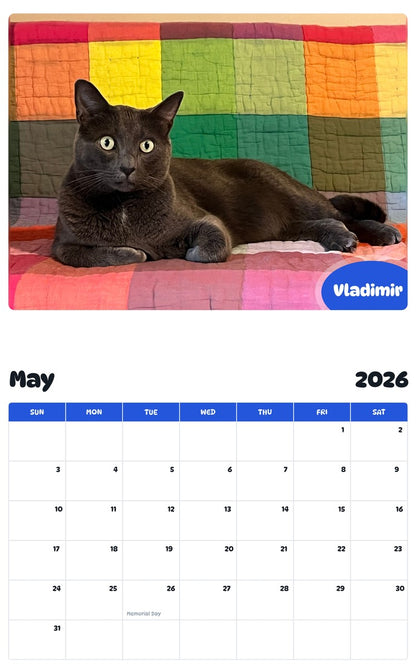 2026 - 2027 Vladimir - Pawidols Pet Calendar