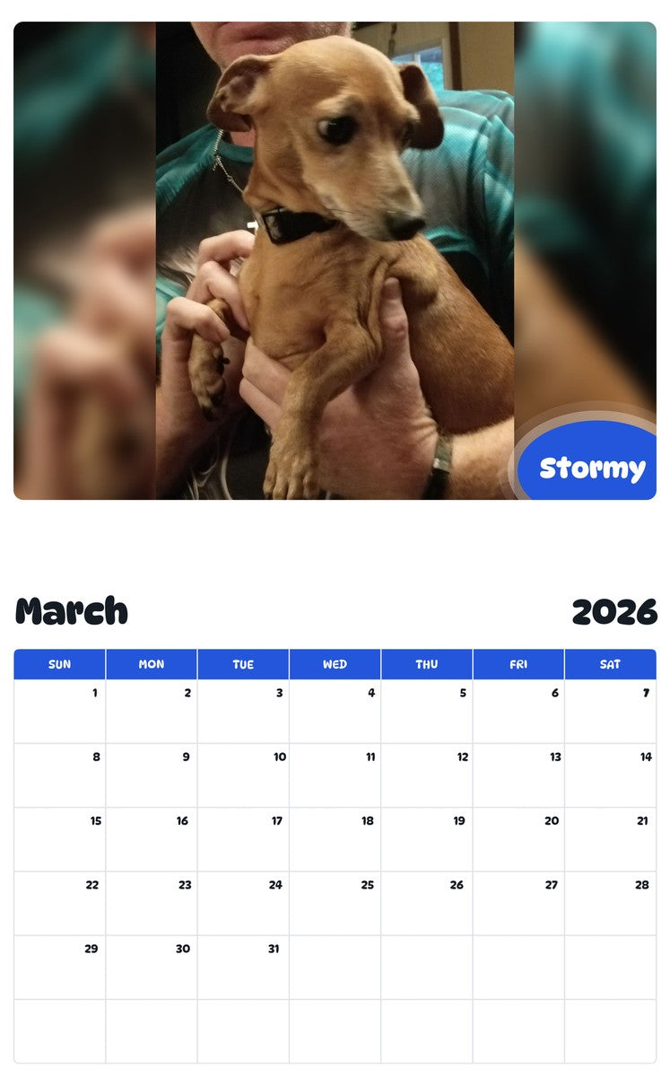 November 2025 - October 2026 Stormy - Pawidols Pet Calendar