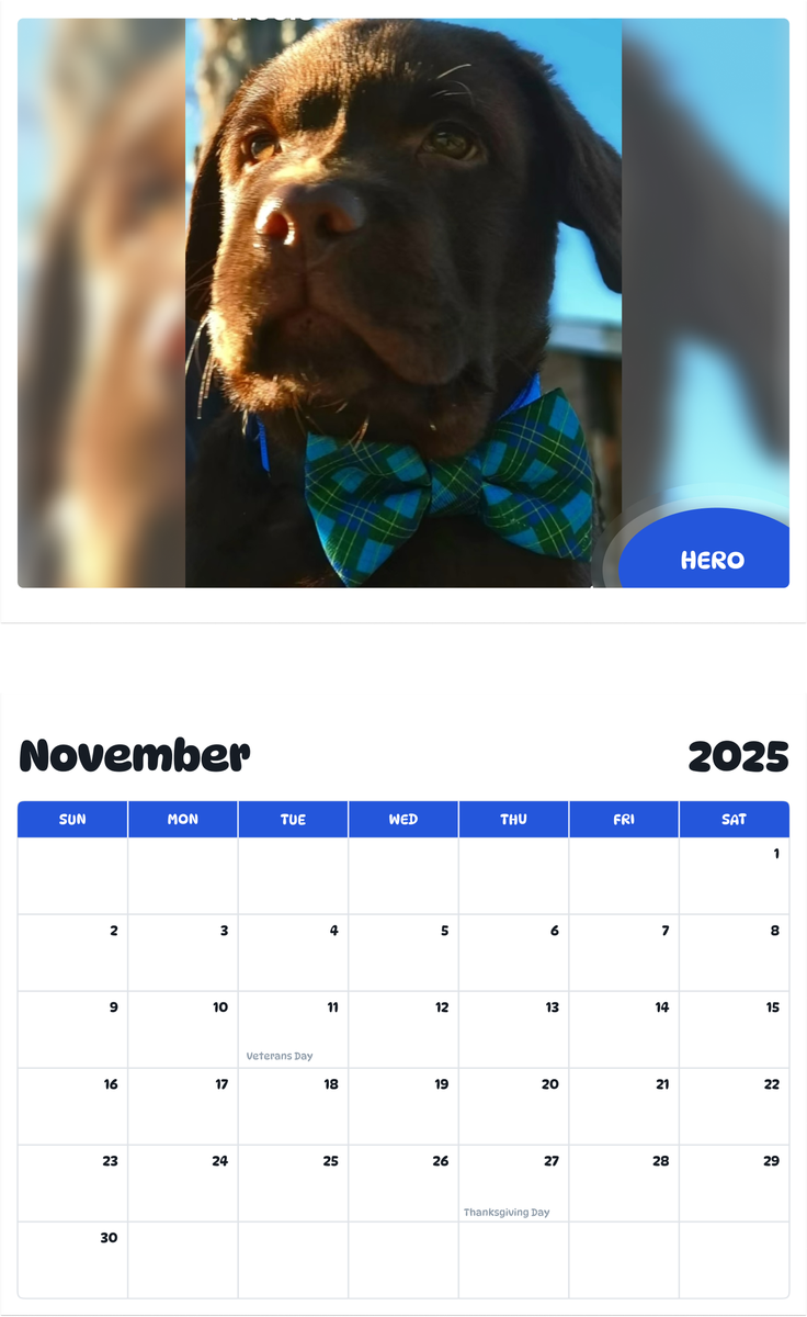 July 2025 - June 2026 Hero - Pawidols Pet Calendar