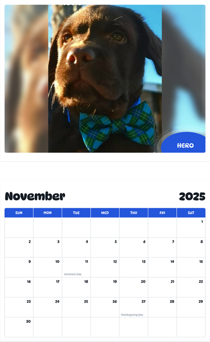 July 2025 - June 2026 Hero - Pawidols Pet Calendar