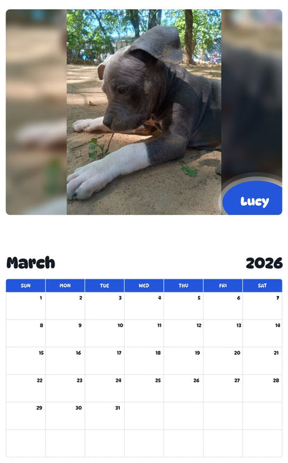 November 2025 - October 2026 Lucy - Pawidols Pet Calendar