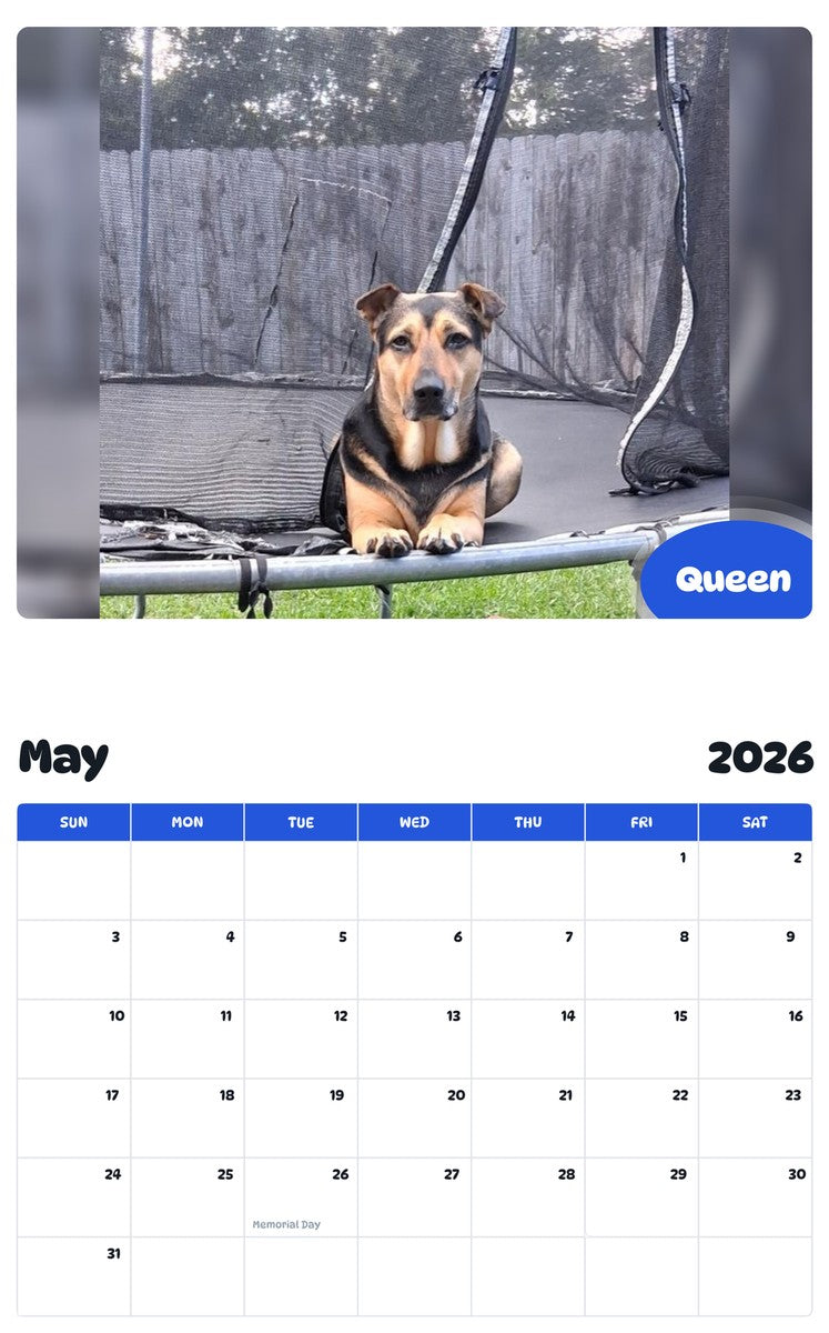 2026 - 2027 Queen - Pawidols Pet Calendar
