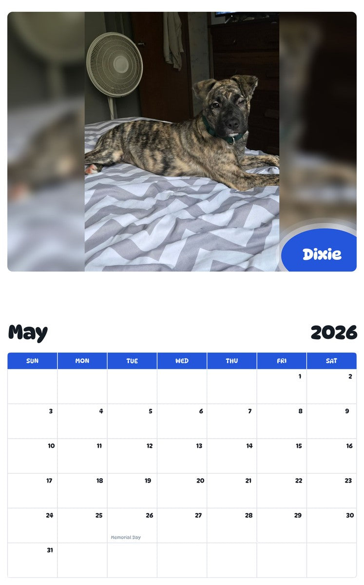 2026 - 2027 Dixie - Pawidols Pet Calendar