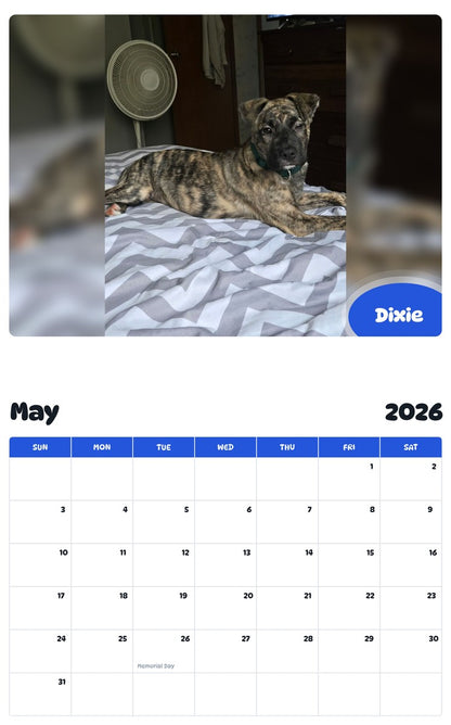 2026 - 2027 Dixie - Pawidols Pet Calendar