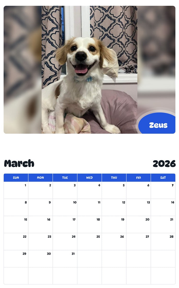 November 2025 - October 2026 Zeus - Pawidols Pet Calendar