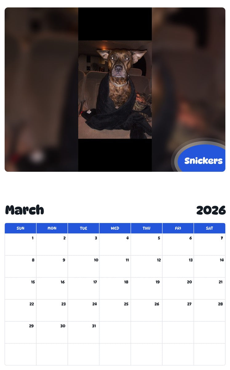 November 2025 - October 2026 Snickers - Pawidols Pet Calendar