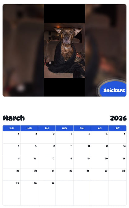 November 2025 - October 2026 Snickers - Pawidols Pet Calendar