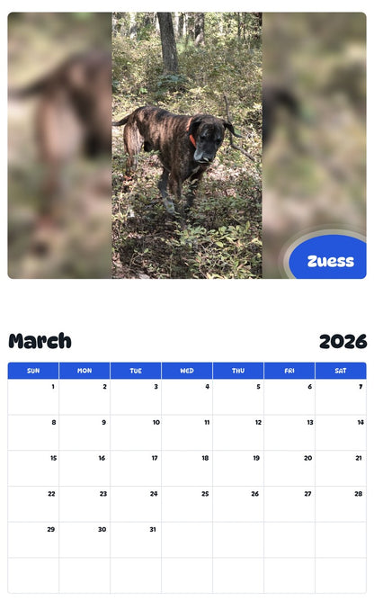 November 2025 - October 2026 Zuess - Pawidols Pet Calendar