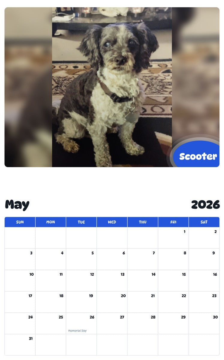 2026 - 2027 Scooter - Pawidols Pet Calendar