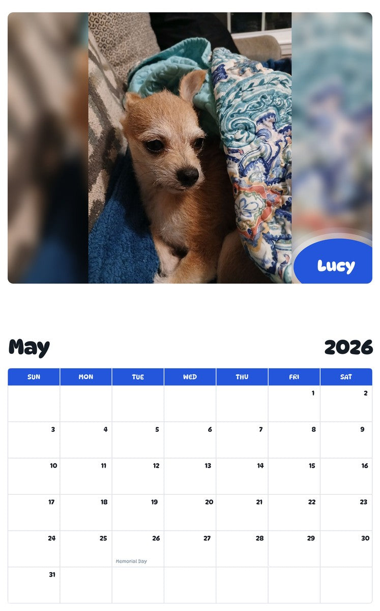 2026 - 2027 Lucy - Pawidols Pet Calendar