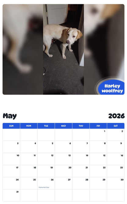 2026 - 2027 Harley woolfrey - Pawidols Pet Calendar