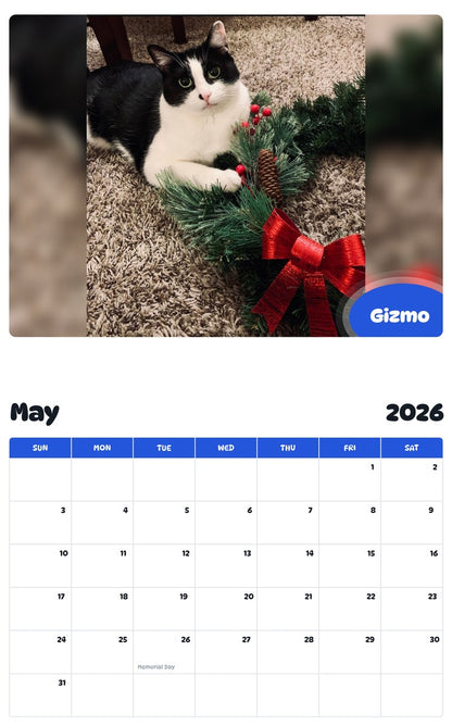 2026 - 2027 Gizmo - Pawidols Pet Calendar