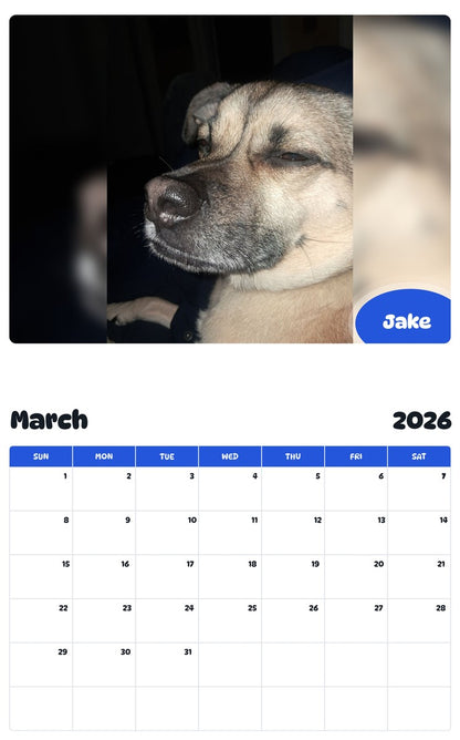 November 2025 - October 2026 Jake - Pawidols Pet Calendar
