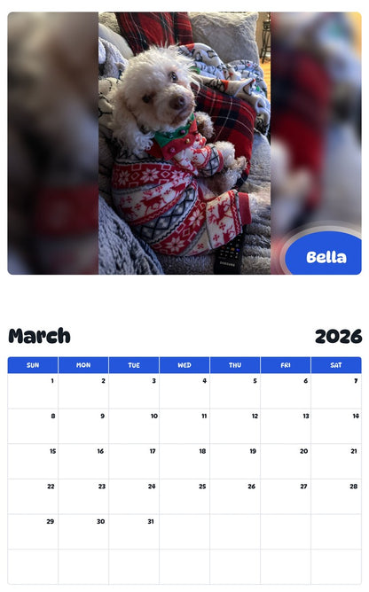 November 2025 - October 2026 Bella - Pawidols Pet Calendar