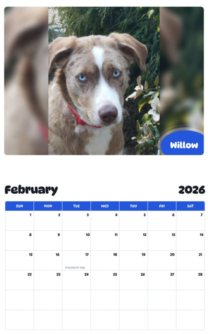 October 2025 - September 2026 Willow - Pawidols Pet Calendar